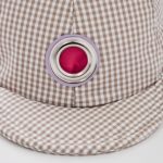 check cap040124_ gray