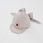 check cap040124_ gray